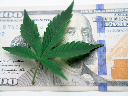 A photograph of a crumpled dollar bill and a single marijuana leaf. The dollar bill is partially visible in the foreground, while the marijuana leaf rests gently on top. The contrasting elements symbolize the intersection of money and cannabis culture in contemporary society.