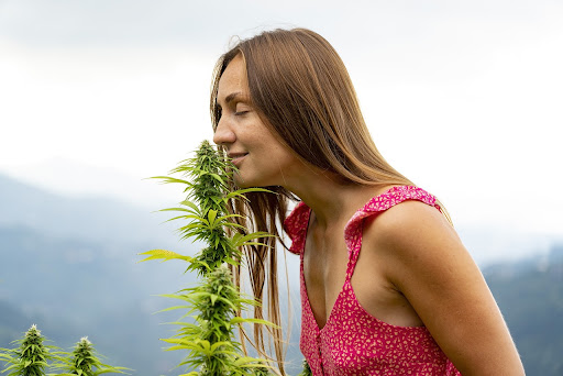 A joyful woman smiling as she bends down to smell a cannabis plant in the midst of a natural setting. Her expression radiates happiness and appreciation for the aroma and beauty of the plant, capturing a moment of pure delight in connection with nature and cannabis.