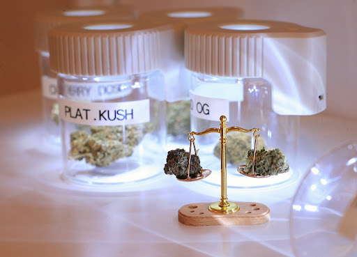 A display of meticulously cultivated weed plants showcased in elegant, fancy glass jars neatly arranged on a shelf. The jars, with their intricate designs and varied shapes, add a touch of sophistication to the presentation, emphasizing the care and attention given to the cultivation and preservation of the cannabis plants.