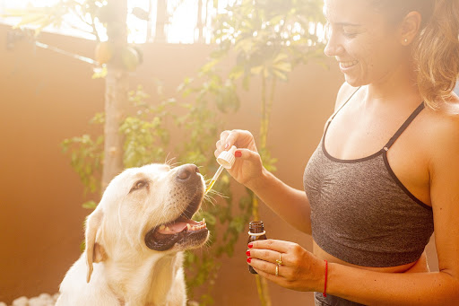 A fitness enthusiast, serving as an influencer, giving oil supplements to her dog, showcasing a product placement scenario. The image portrays the fit girl attentively administering the oil supplement to her dog, highlighting the wellness and health aspect of the product and its potential benefits for pets.